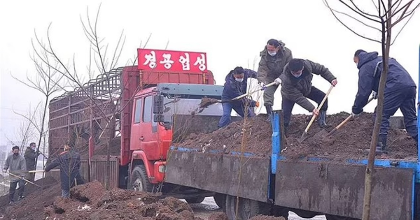 迫成年人每年交500公斤 朝鲜掀偷粪抢粪冲突